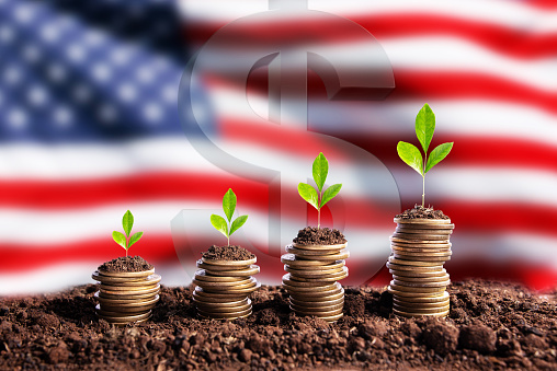 Economy China concept finance money is born in soil on plant with coins for successful investment, flag background