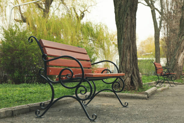 istock Bench in the city park. Spring day 1221679860