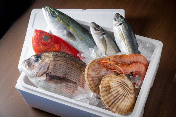 fresh japanese seafood in styrofoam box with ice fresh japanese seafood in styrofoam box with ice polystyrene box stock pictures, royalty-free photos & images