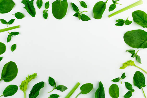 istock Fresh green vegetables: spinach, mint and celery on a white background with blank space 1221682070