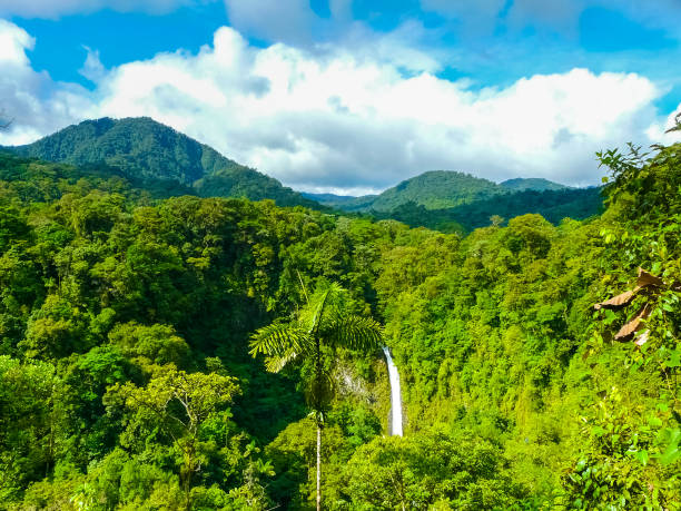 La Fortuna de San Carlos waterfall, Arenal volcano national park, Alajuela, San Carlos, Costa Rica stock photo