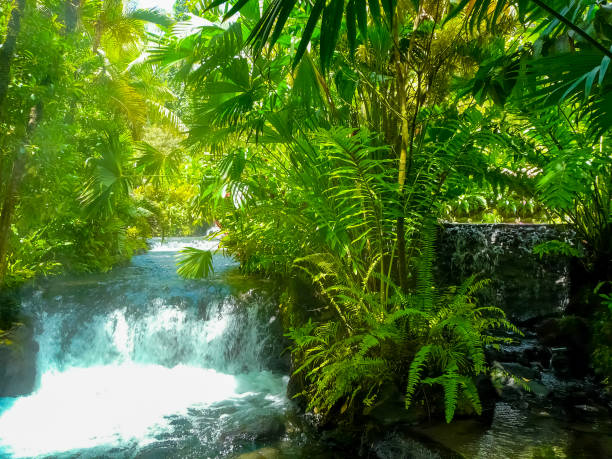 tabacon hot springs river am vulkan arenal, alajuela, san carlos, costa rica - costa rica waterfall heaven rainforest stock-fotos und bilder
