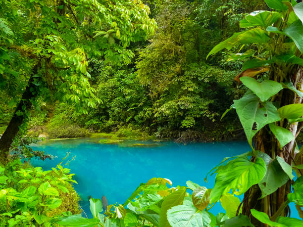 istock Rio Celeste, Tenorio volcano national park, Costa Rica 1221685037