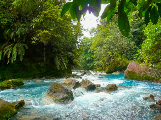 rio celeste, parco nazionale del vulcano tenorio, costa rica - sulfuric foto e immagini stock