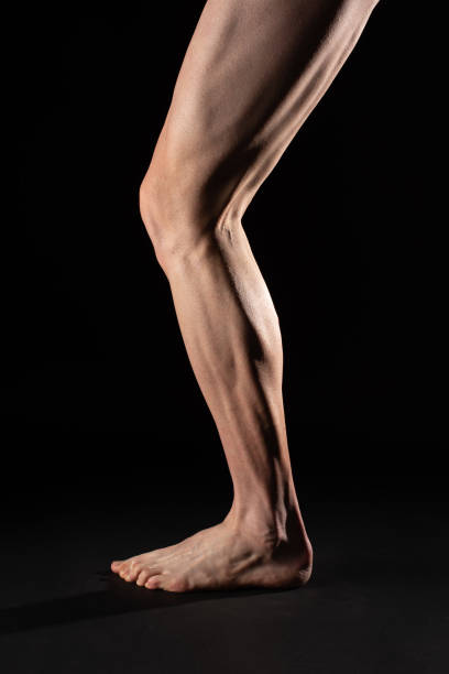 male muscular shaved leg - ischium imagens e fotografias de stock