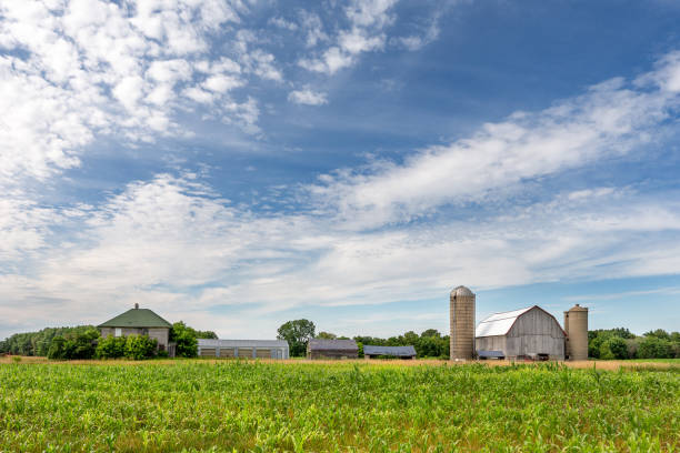 istock Abandoned Family Farm 1221688765