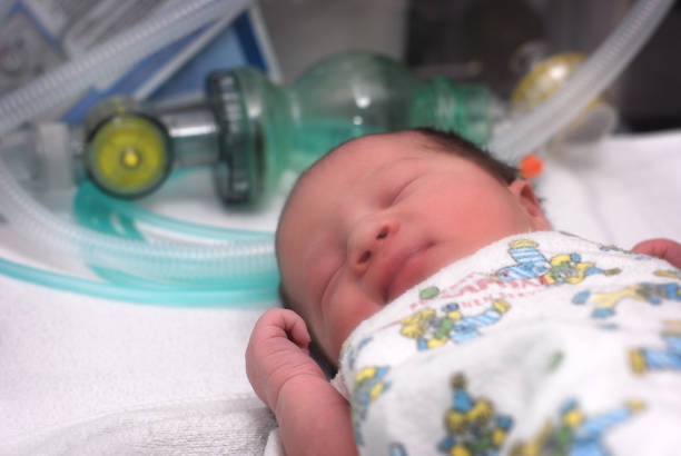 istock Health Care: Newborn in Incubator Maternity Hospital Ward 122168901