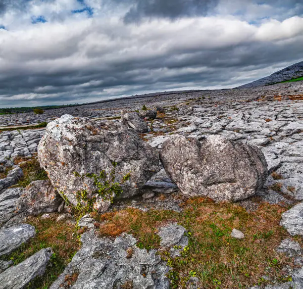 The Burren is a karst-landscape region or alvar in northwest County Clare, in Ireland. Irish fences