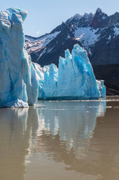 istock Grey Glacier, Torres del Paine, Chile 1221692459
