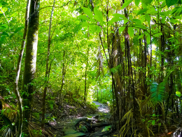 istock Manuel Antonio National Park, Quepos, Costa Rica 1221692563