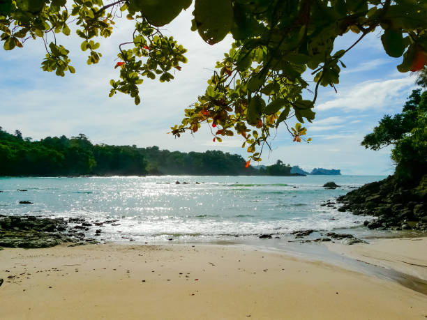 istock Manuel Antonio National Park, Quepos, Costa Rica 1221692569