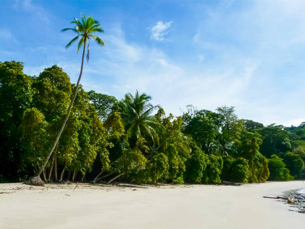 istock Manuel Antonio National Park, Quepos, Costa Rica 1221692571