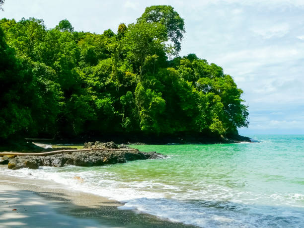 istock Manuel Antonio National Park, Quepos, Costa Rica 1221692576