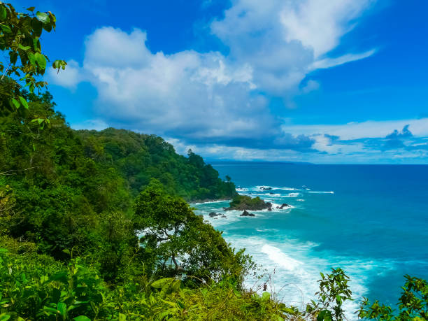 Corcovado National Park, Osa Peninsula, Costa Rica stock photo