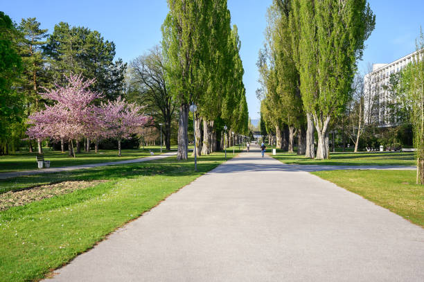 istock Asphalt walk through park on spa island in Piestany (SLOVAKIA) 1221694445