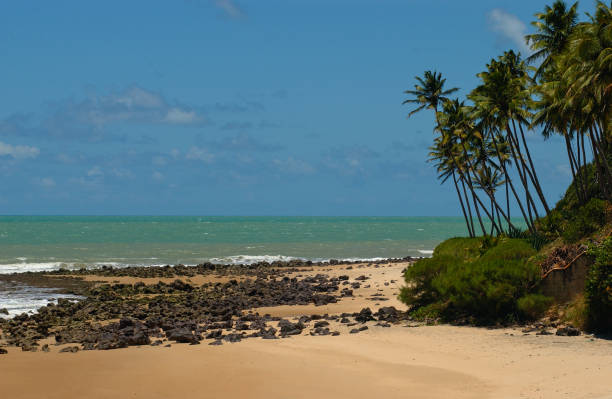 istock Chalk beach, South Tibau 1221695879