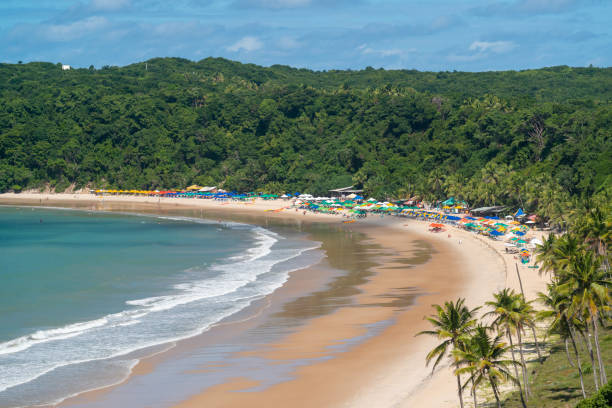 istock With its cliffs and natural vegetation, this beach attracts tourists from all over the world 1221696029