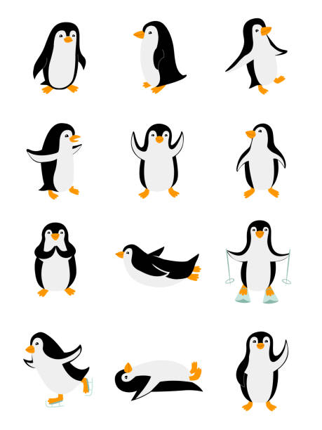 set von kleinen pinguinen in verschiedenen posen. lustige tiere isoliert auf weißem hintergrund. zeichenzeichen vektor-illustration - penguin stock-grafiken, -clipart, -cartoons und -symbole