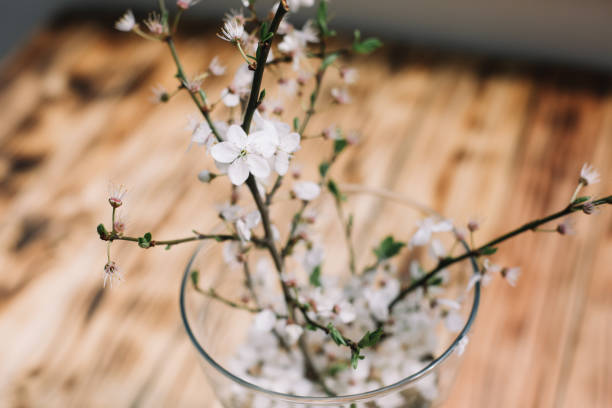 istock Cherry tree blossom branches with flowers in the vase on wooden table 1221702505