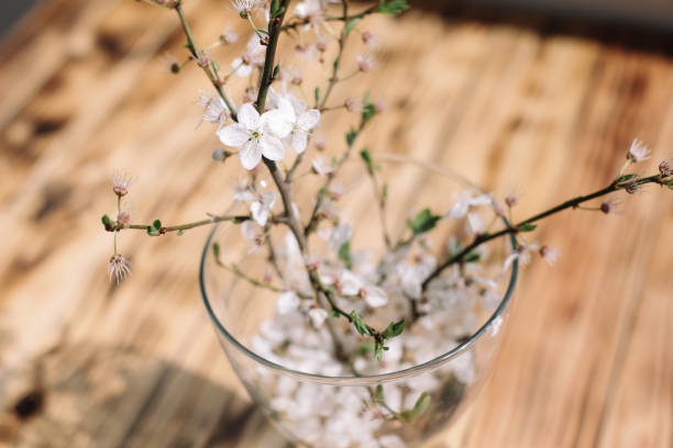 istock Cherry tree blossom branches with flowers in the vase on wooden table 1221702551