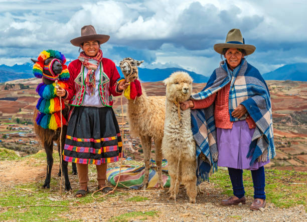 Quechua People, Peru A rural portrait of Quechua Indigenous Women in traditional clothes with their domestic animals, two llama and one alpaca, Sacred Valley of the Inca, Cusco, Peru. llama animal photos stock pictures, royalty-free photos & images