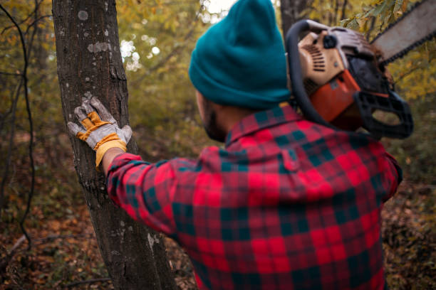 istock Young strong lumberjack with motor saw in forest 1221708873