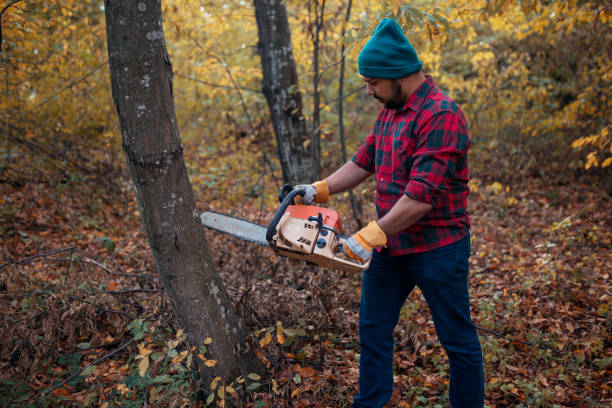 istock Lumberjack cutting trees with motor saw 1221709018