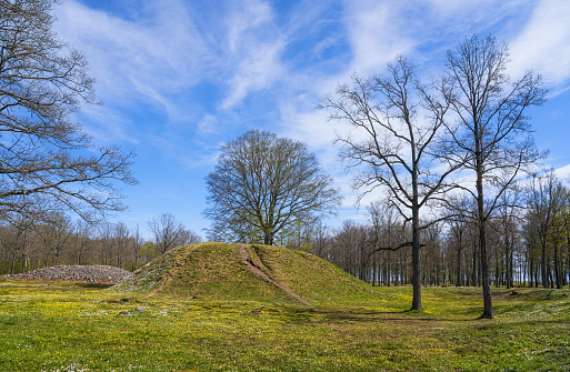 Borre mound cemetery at springtime with lots of spring flowers, Borre National Park