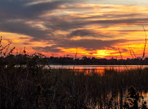 istock autumn landscape over lake 1221713145