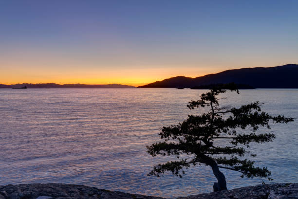 istock red sunset glow at Juniper Point, Lighthouse Park, West Vancouver, BC, Canada 1221714427