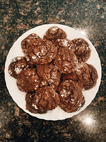 Plated chocolate cookies with powdered sugar on countertop