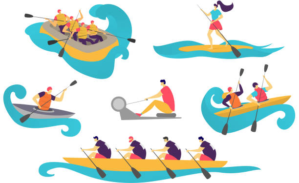 ilustraciones, imágenes clip art, dibujos animados e iconos de stock de la gente deporte equipo en barco en el agua mujeres, hombre navegando con paddle en canoa turismo vector ilustración aislada en blanco. - kayak barco de remos