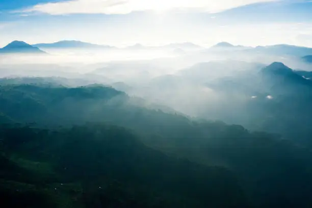 Beautiful aerial view of sunrise time with tea plantation and fog background on the morning in Pangalengan at Bandung, West Java, Indonesia