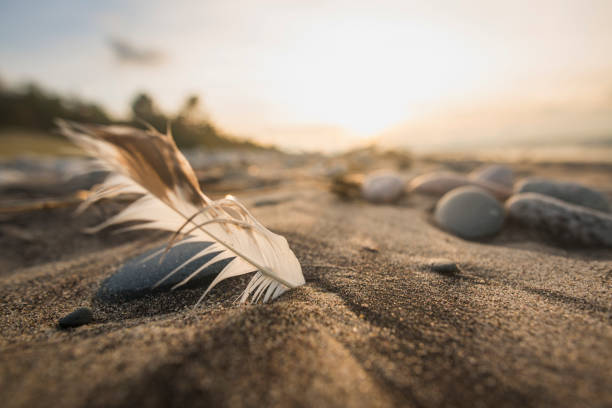 A feather sticks out of the sand and rocks of Lake Superior beach.  This image was shot at ground level with a wide angle lens.