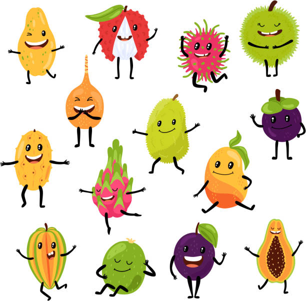 Dancing tropical exotic fruits in character hand drawn fruity food tropic vector illustration isolated on white. Dancing tropical exotic fruits in character hand drawn fruity food tropic vector illustration isolated on white. Comic funny papaya, lychee, rambutan, durian smiles. Healthy fruits with hands, foots. rambutan stock illustrations