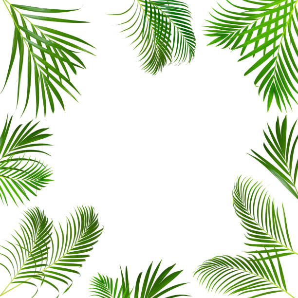 istock green leaves for background and wallpaper 1221724420