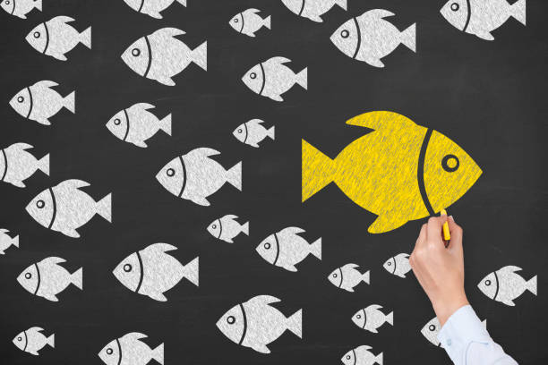 istock Going Your Own Way with Fishes on Blackboard Background 1221728574