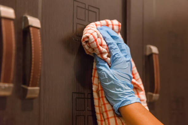 istock Cleaning surfaces at home to keep hygiene from Coronavirus 1221729724