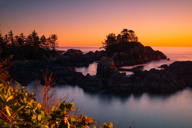 istock Sunset Along The Wild Pacific Trail 1221731267