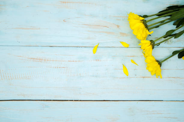 istock Yellow gerbera flower with wooden background 1221731331