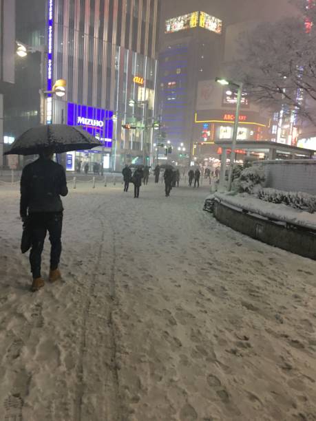 istock Snowy Shinjuku II 1221731627