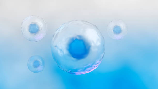istock 3D illustration of human cells 1221732365