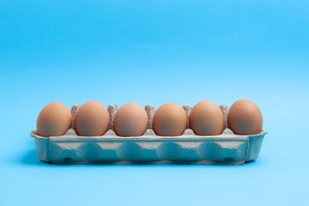 istock Side view of six chicken eggs in cardboard package on blue background with copy space 1221733445