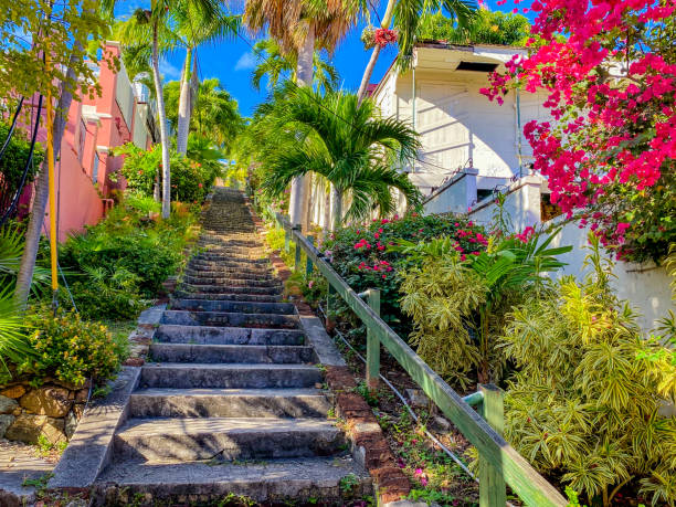 Famous 99 Steps in Charlotte Amalie, St. Thomas The historic 99 steps in Charlotte Amalie, St Thomas in the US Virgin Islands. st. thomas virgin islands photos stock pictures, royalty-free photos & images