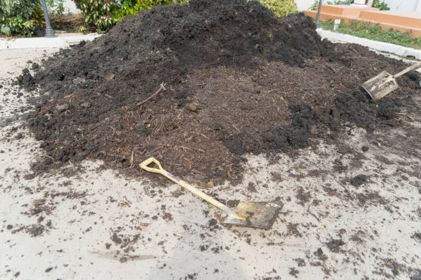 istock A hoe and soil fertile ground surface. Close up of natural pattern texture background. Top view of organic dirt in garden. 1221741087