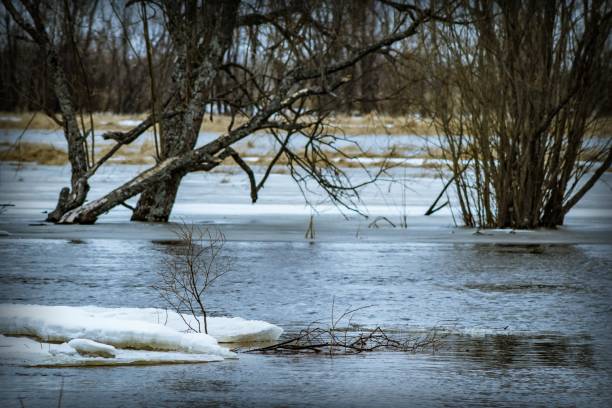 istock Spring flood on the river among flooded trees 1221741825