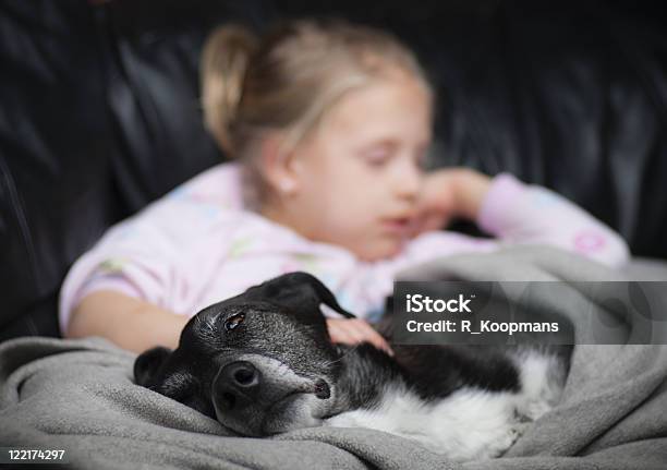 Girl And Dog Sleeping On Couch With Blanket Stock Photo - Download Image Now - Blanket, Dog, Embracing