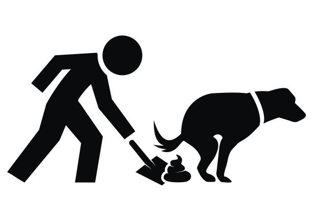 150+ Picking Up Poo Illustrations, Royalty-Free Vector Graphics & Clip Art - iStock 150+ Picking Up Poo Illustrations, Royalty-Free Vector Graphics & Clip Art - Istock