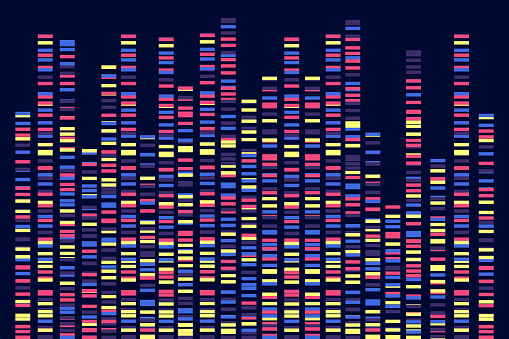 Dna Visualization Graphs Genomic Data Visualization Dna Test Vector Illustration Stock ...