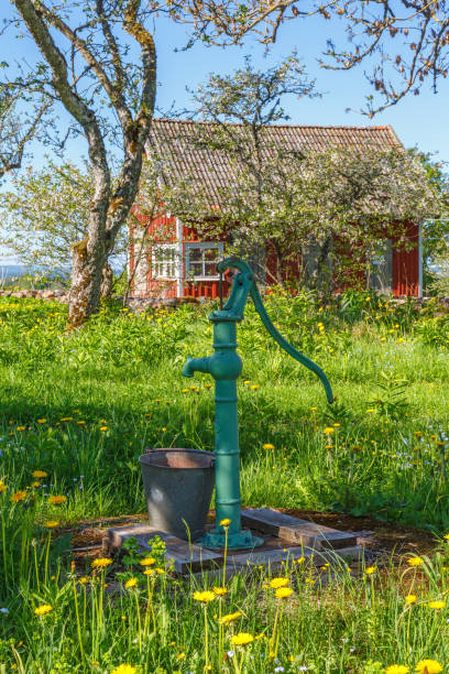 Red old iron water well pump with handle. Pump is placed on wooden lid outside building with green grass around it.